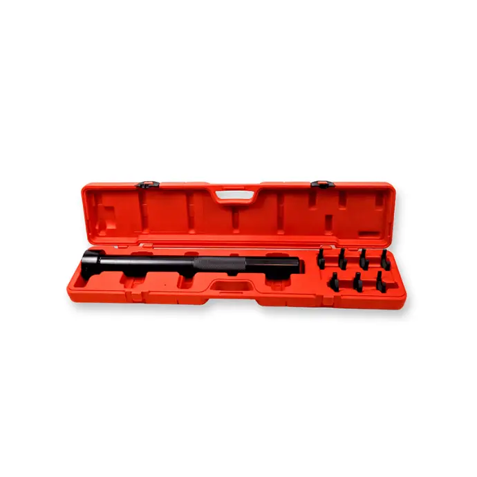 EXTRACTOR DE TERMINALES INTERNAS